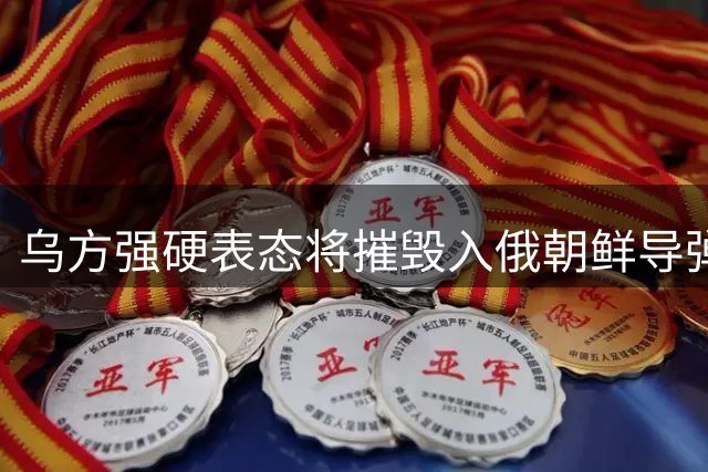 乌方强硬表态将摧毁入俄朝鲜导弹部队 国际局势紧张升级