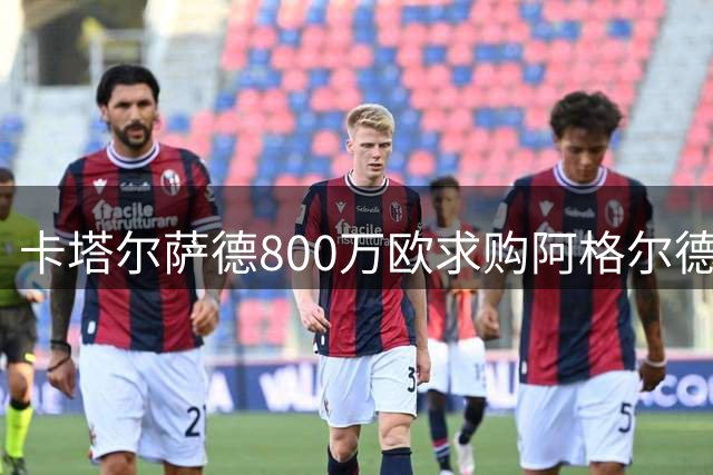 卡塔尔萨德800万欧求购阿格尔德遭拒 马赛坚持留人