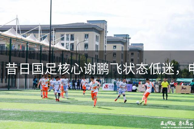 昔日国足核心谢鹏飞状态低迷，申花保级战中力不从心