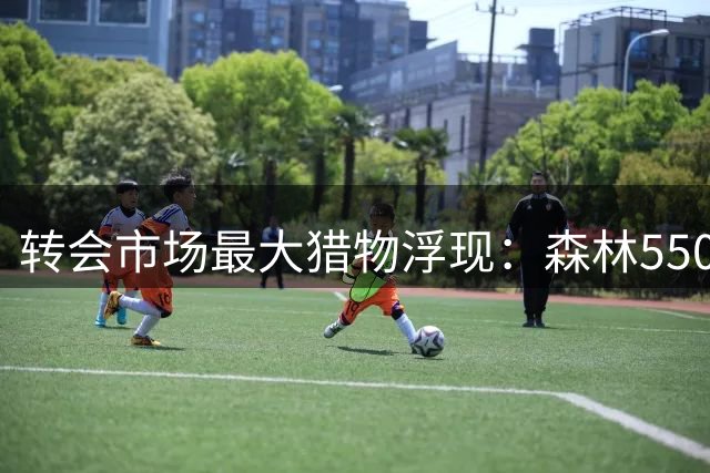 转会市场最大猎物浮现：森林5500万镑猛追荷兰国脚，切尔西连签两将，皇马开启维尼修斯续约